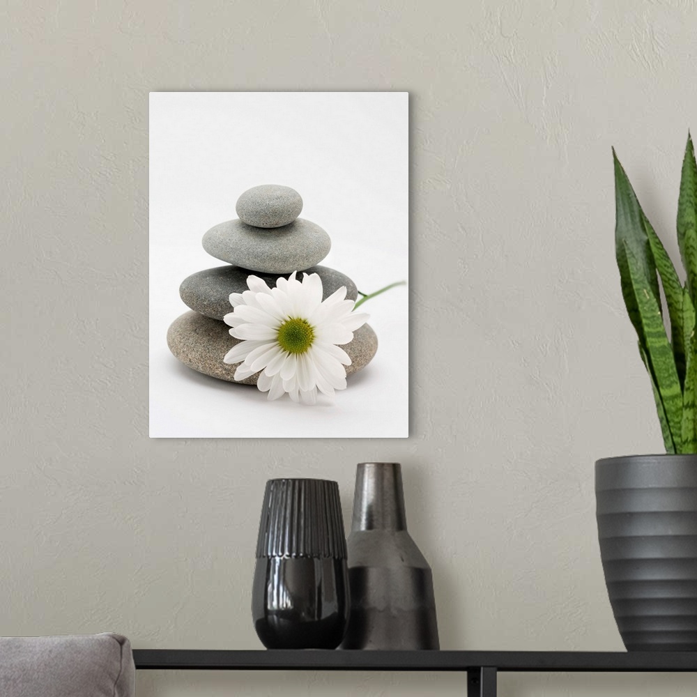 A modern room featuring Flower and stones