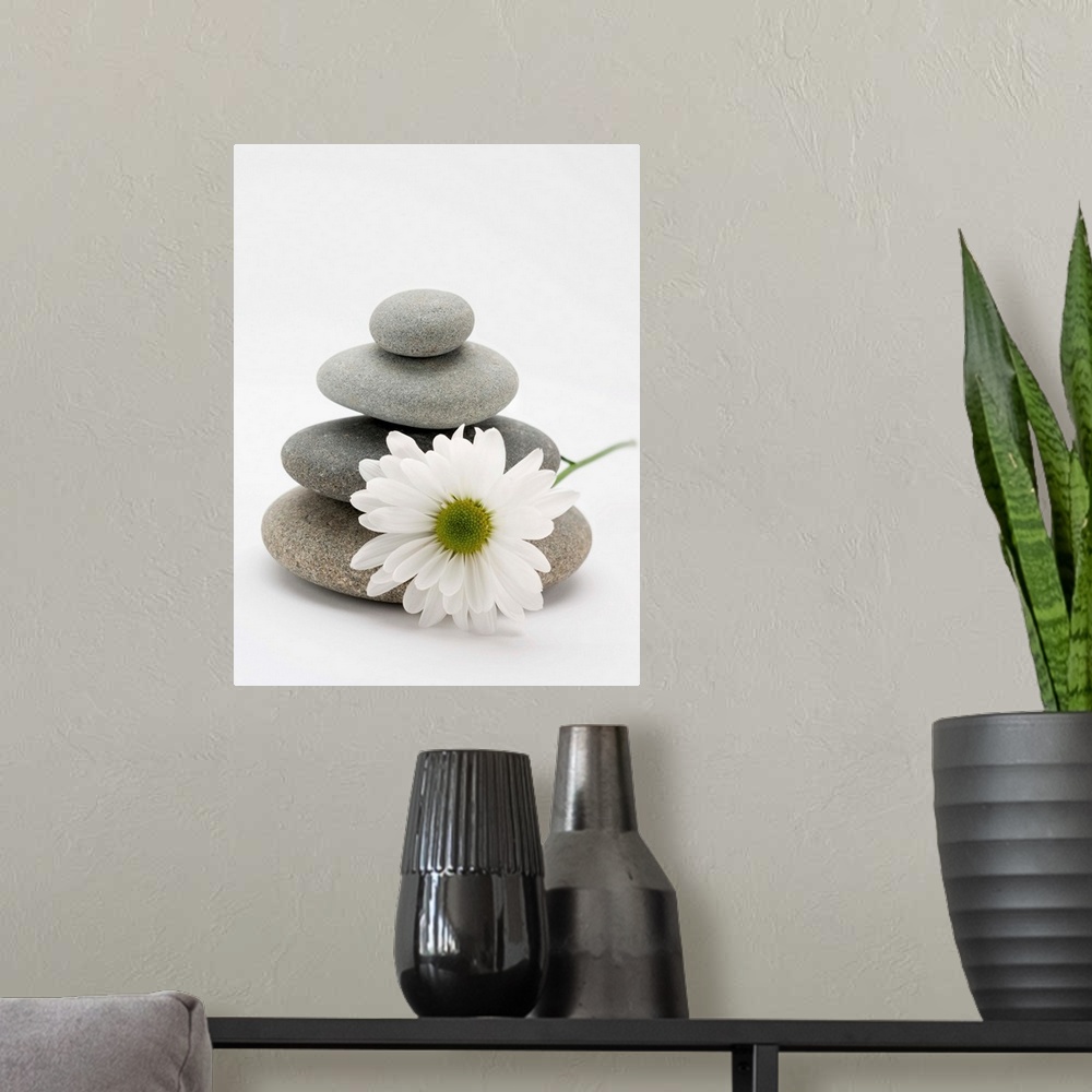 A modern room featuring Flower and stones