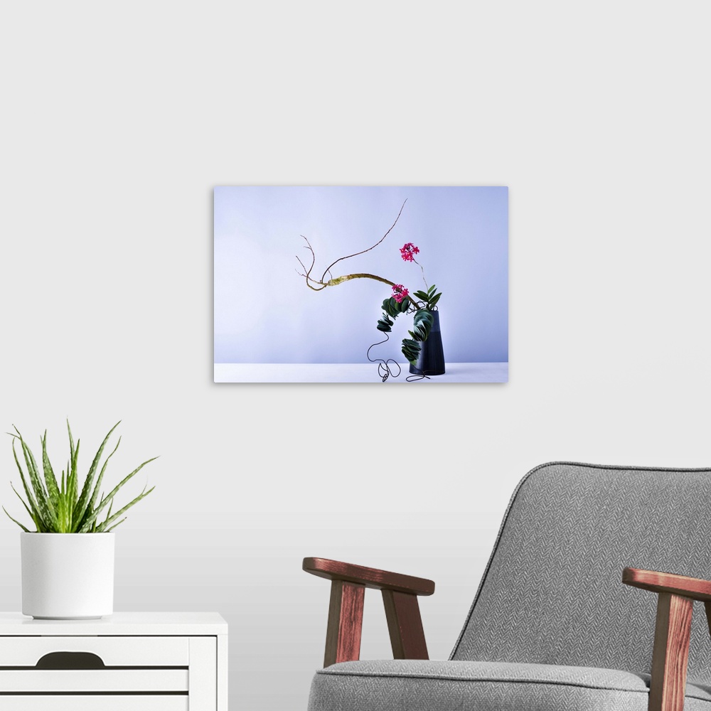 A modern room featuring epidendrum,flower,flower pot,green leaf,wire,willow,eucalyptus