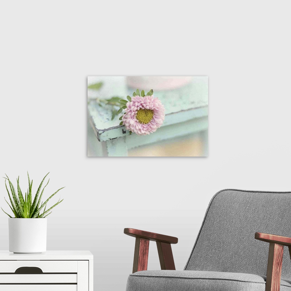 A modern room featuring Flower on wooden vintage chair.