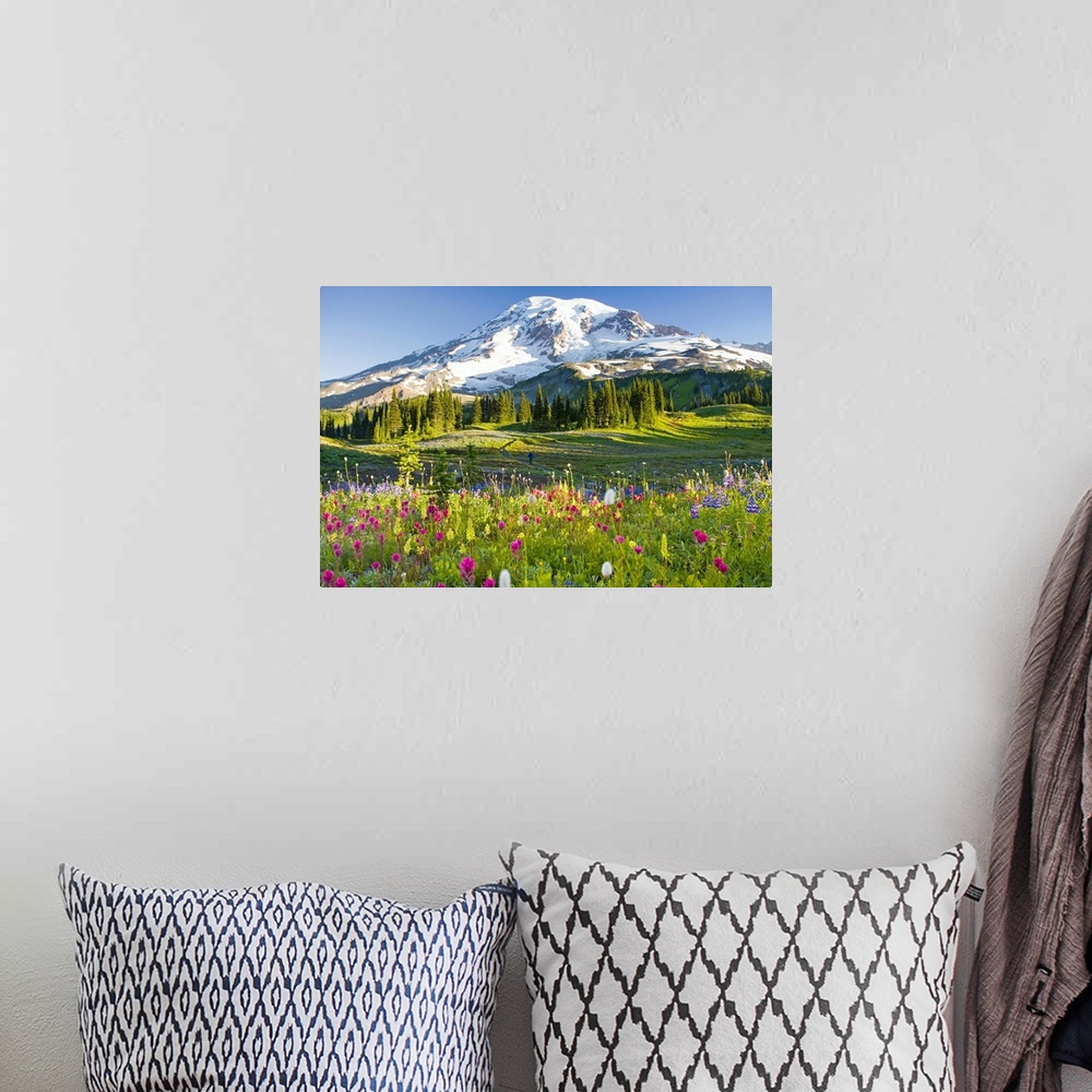 A bohemian room featuring Oversized, landscape photograph of a field of wildflowers including the purple arctic lupine (Lup...