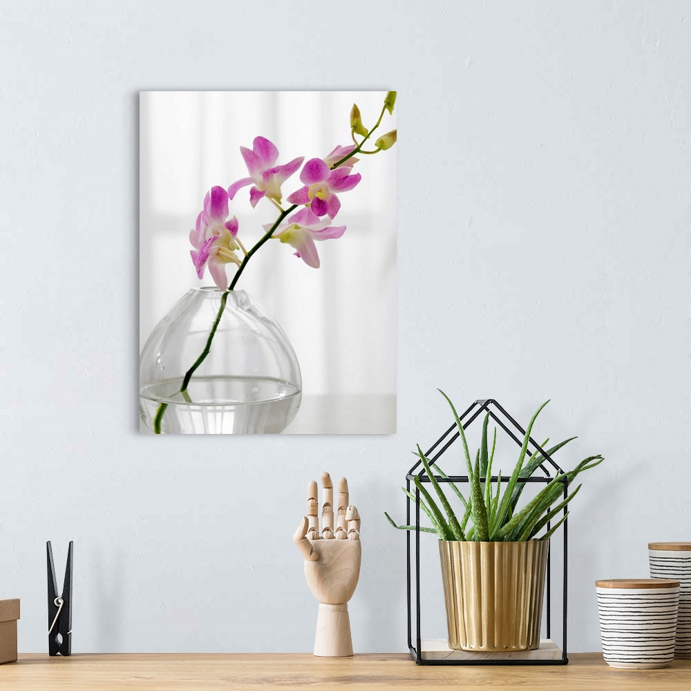 A bohemian room featuring One stem of soft purple flowers sits in a glass vase in a bare room.