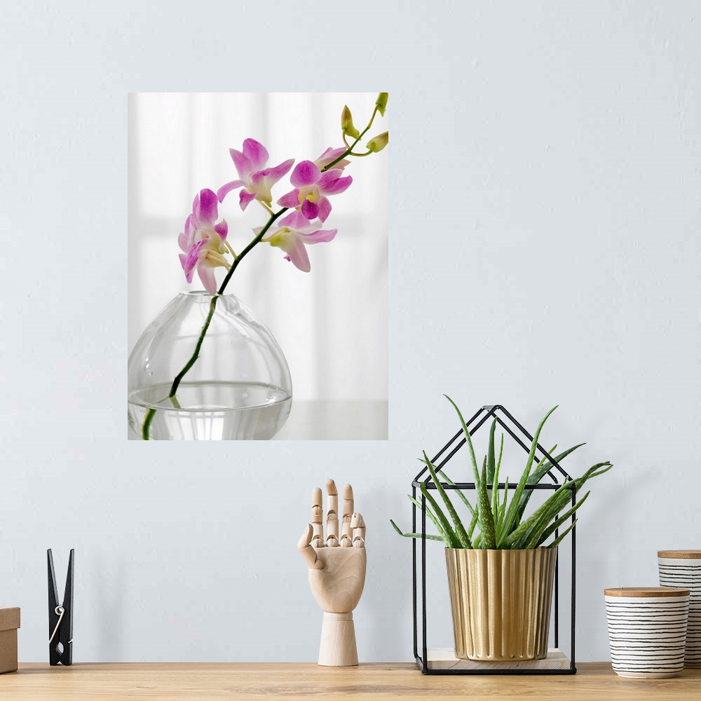 A bohemian room featuring One stem of soft purple flowers sits in a glass vase in a bare room.