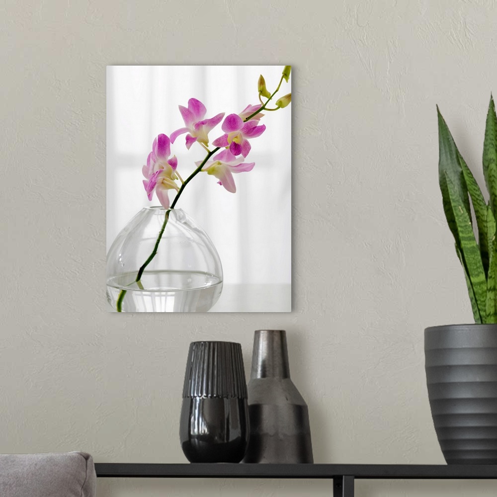 A modern room featuring One stem of soft purple flowers sits in a glass vase in a bare room.