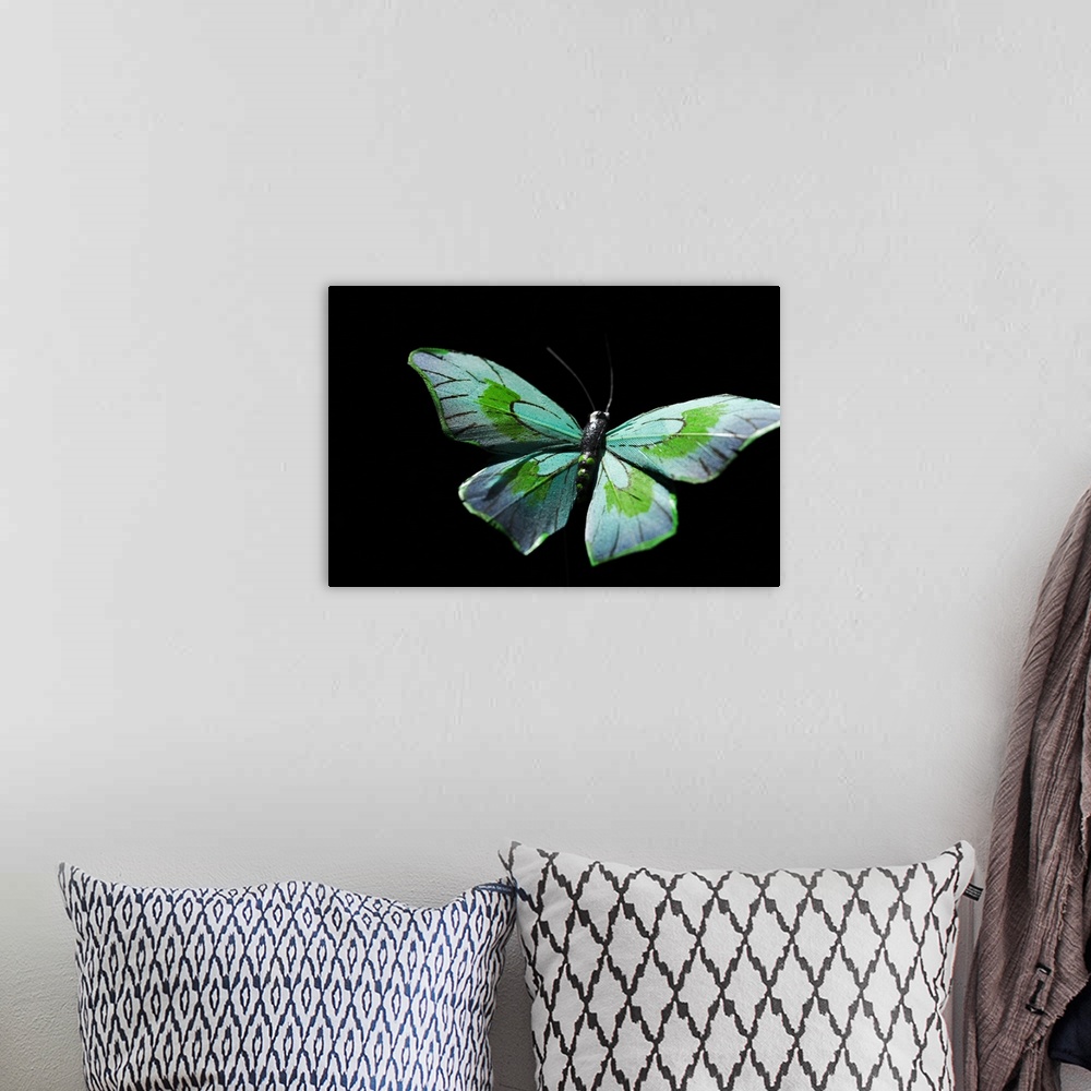 A bohemian room featuring Flying butterfly