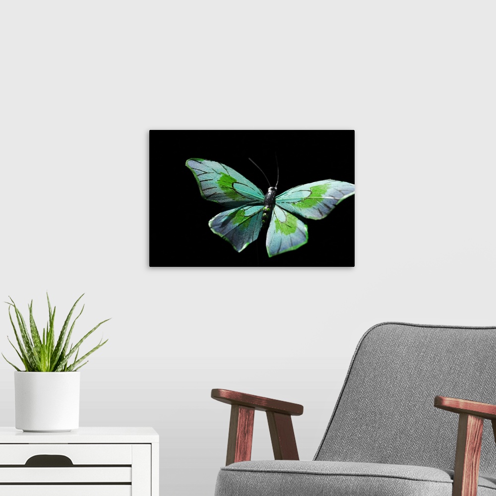 A modern room featuring Flying butterfly