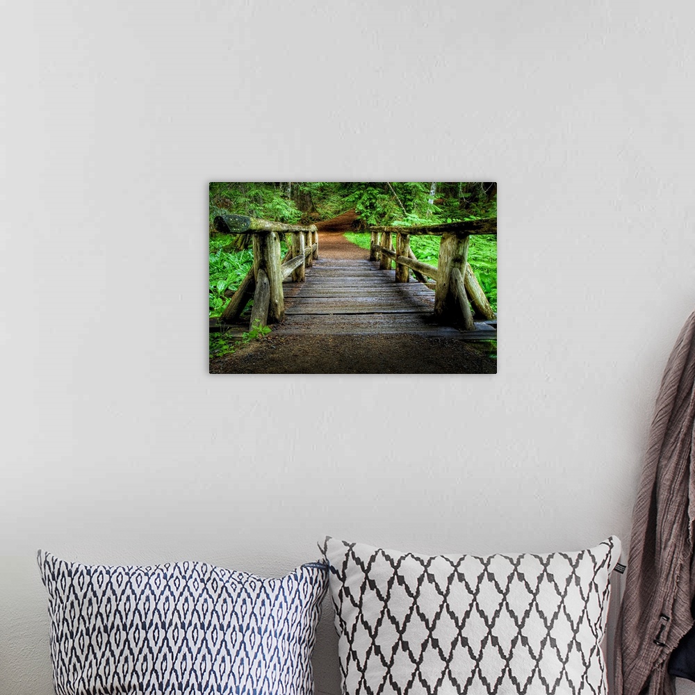 A bohemian room featuring Rustic wooden footbridge in lush with green forest with path.