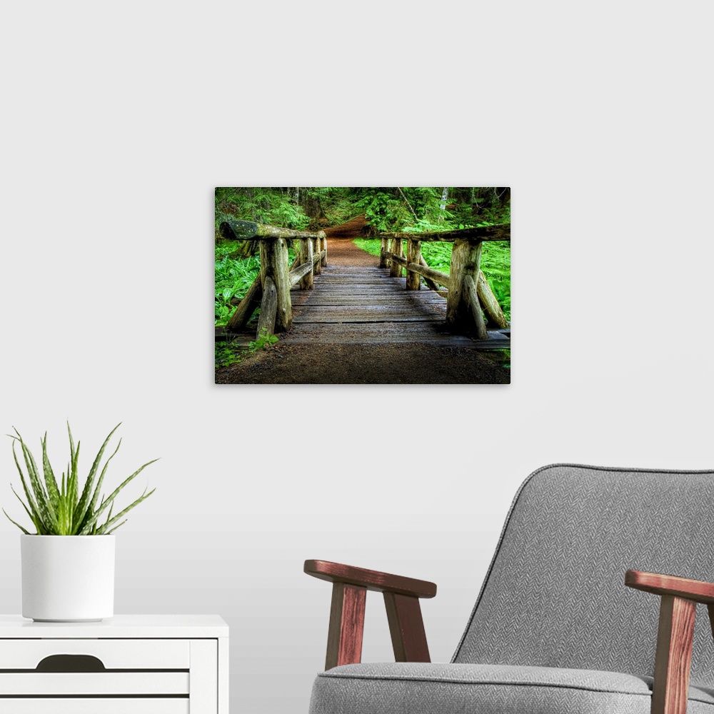 A modern room featuring Rustic wooden footbridge in lush with green forest with path.