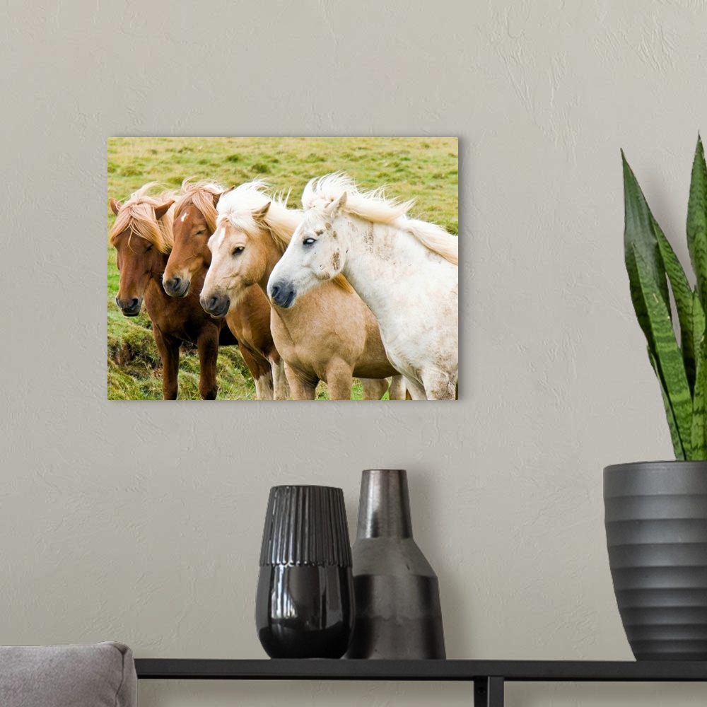 A modern room featuring Four horses together.