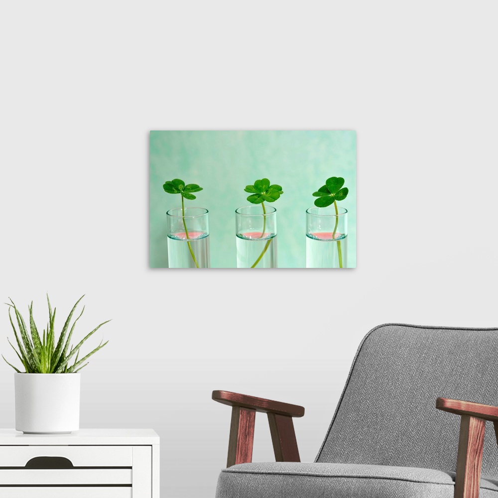 A modern room featuring Four leaf clover,in the glass bottle.