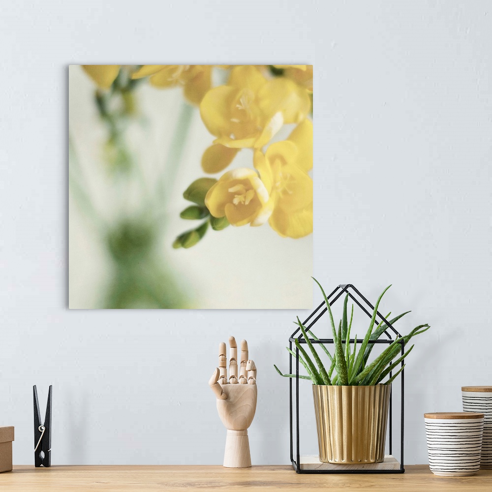 A bohemian room featuring Fragrant Freesia flowers in  vase.Soft textures added in processing.