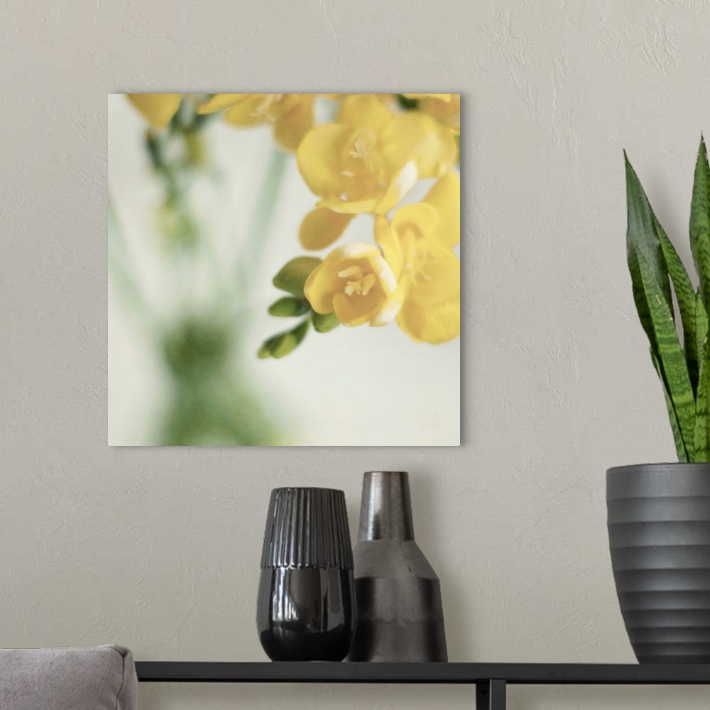 A modern room featuring Fragrant Freesia flowers in  vase.Soft textures added in processing.