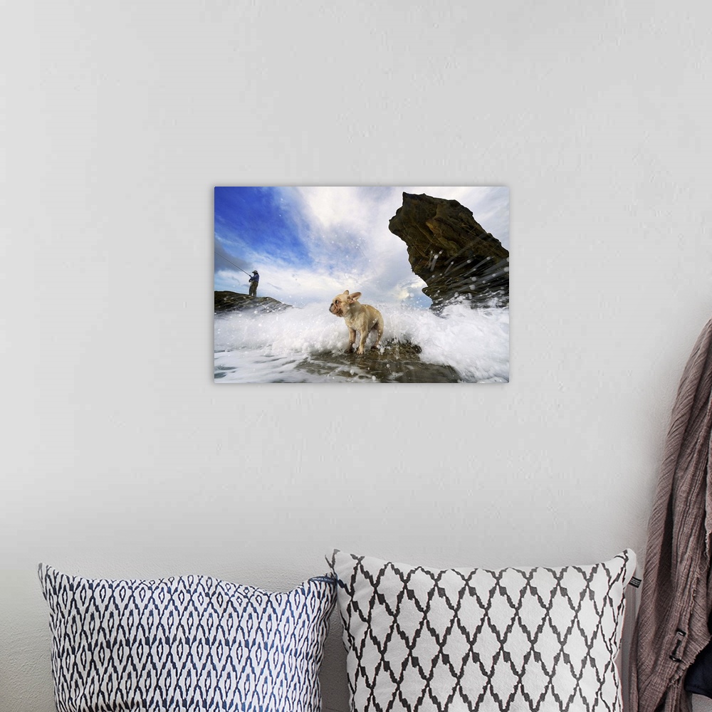 A bohemian room featuring Splashing wave at sea and French bulldog standing in wave and man fishing standing on rock.