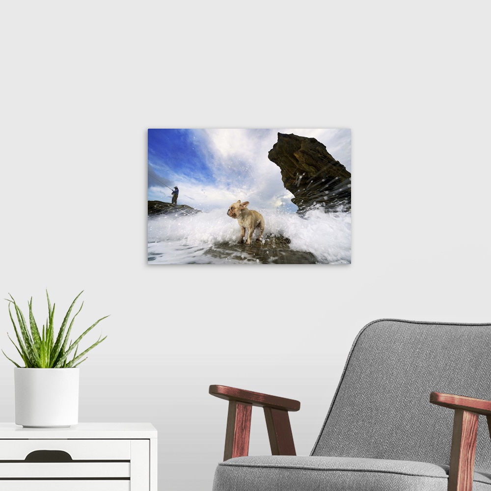 A modern room featuring Splashing wave at sea and French bulldog standing in wave and man fishing standing on rock.