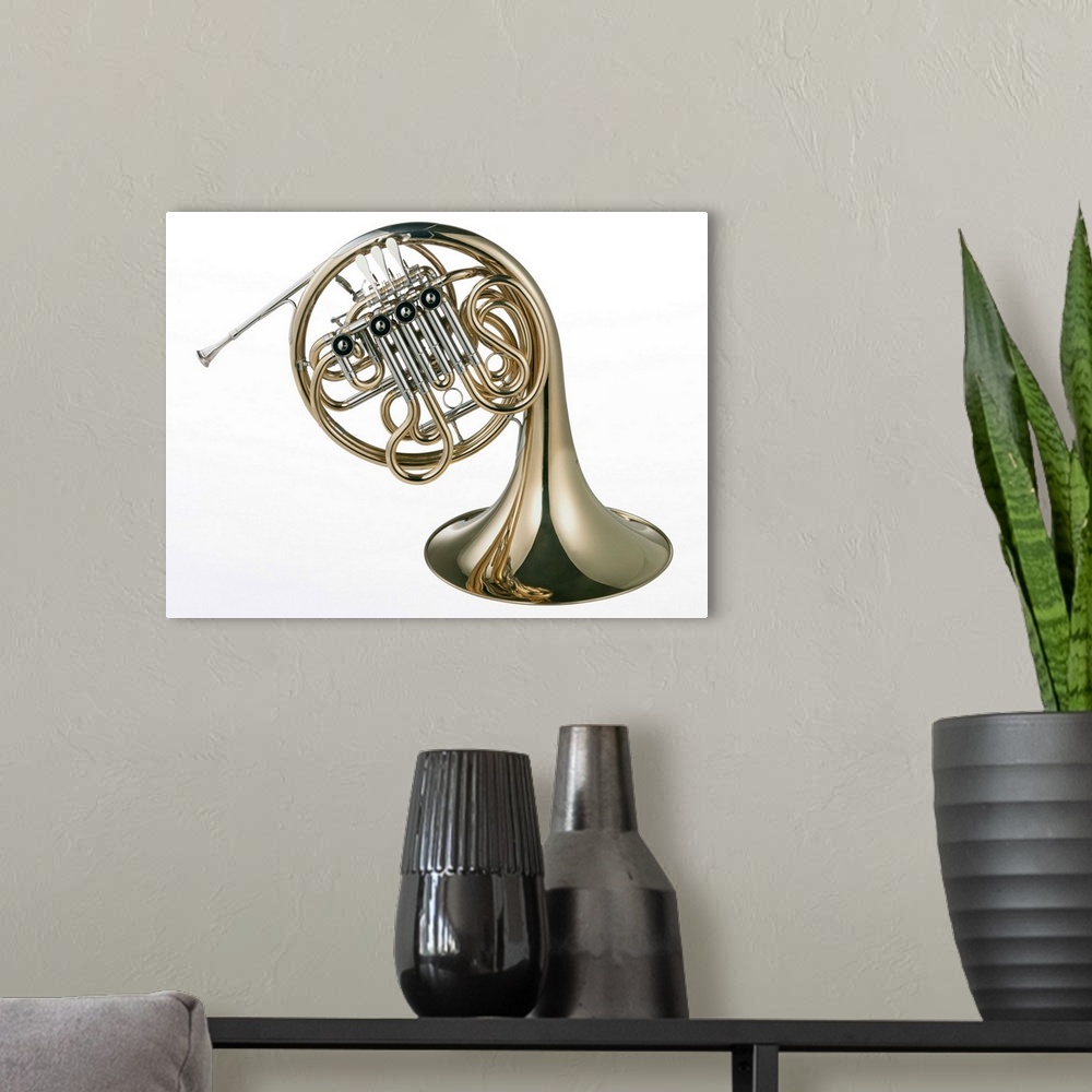 A modern room featuring French Horn