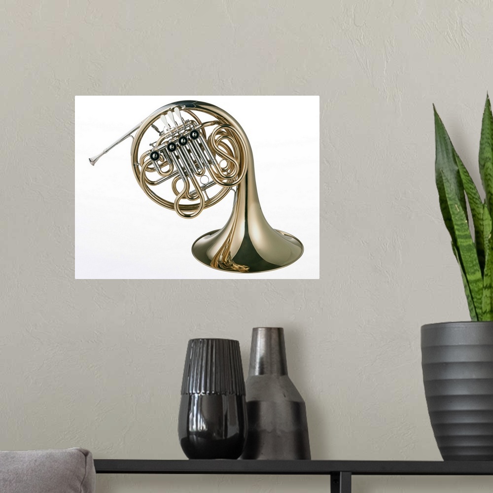 A modern room featuring French Horn