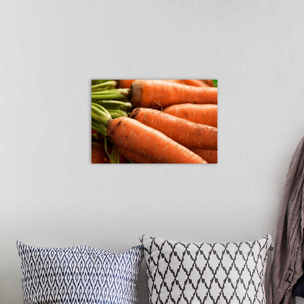 A bohemian room featuring Fresh Carrots at the Union Square Greenmarket, NYC