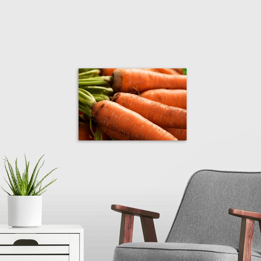 A modern room featuring Fresh Carrots at the Union Square Greenmarket, NYC