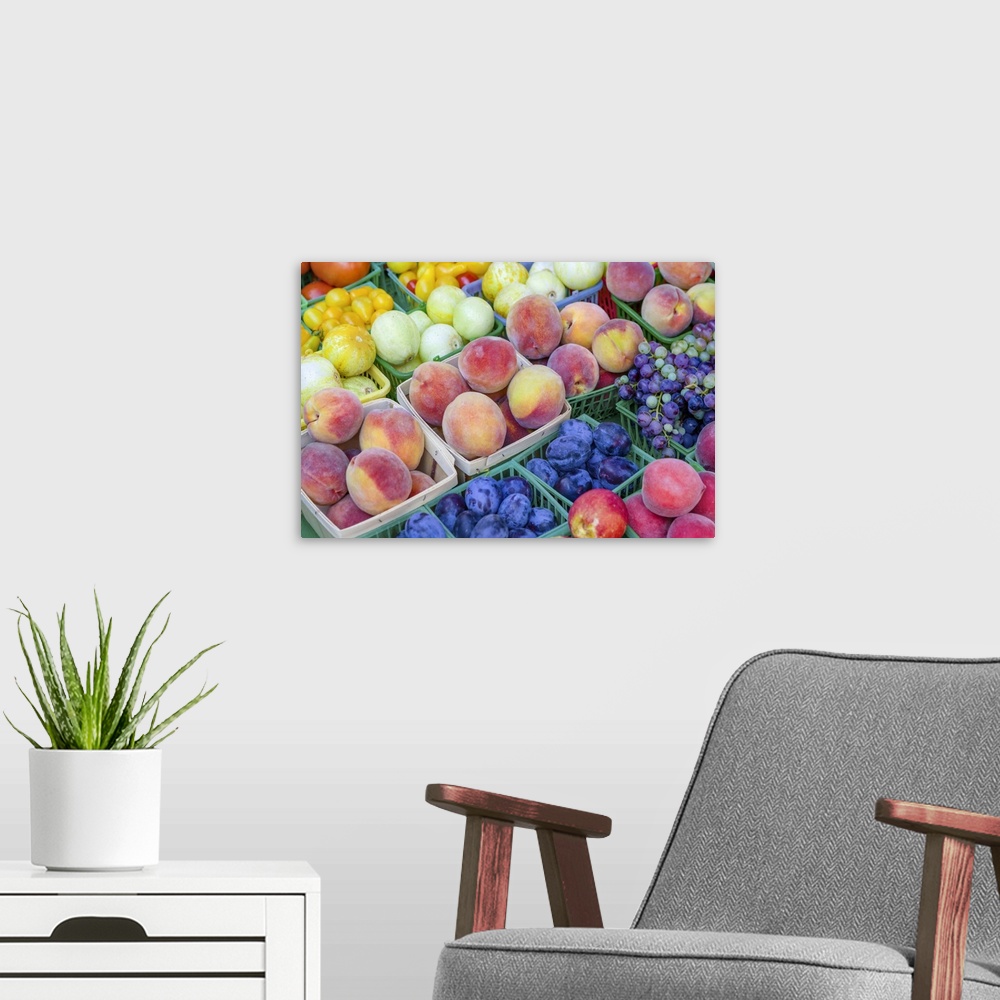 A modern room featuring nectarines, peaches, plums, grapes, lemon cucumbers, tomatoes