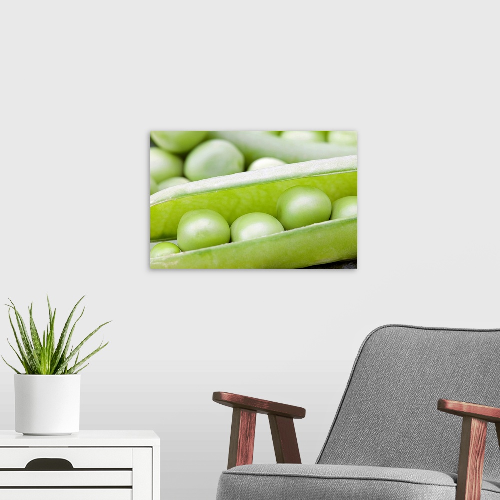 A modern room featuring Fresh organic peas