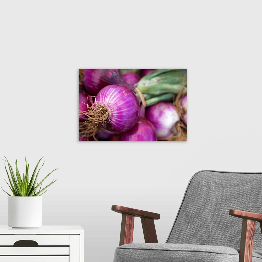 A modern room featuring Fresh red onions at a New Jersey farmer's market.
