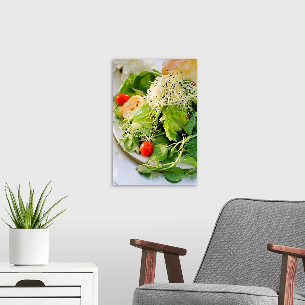 A modern room featuring Fresh salad