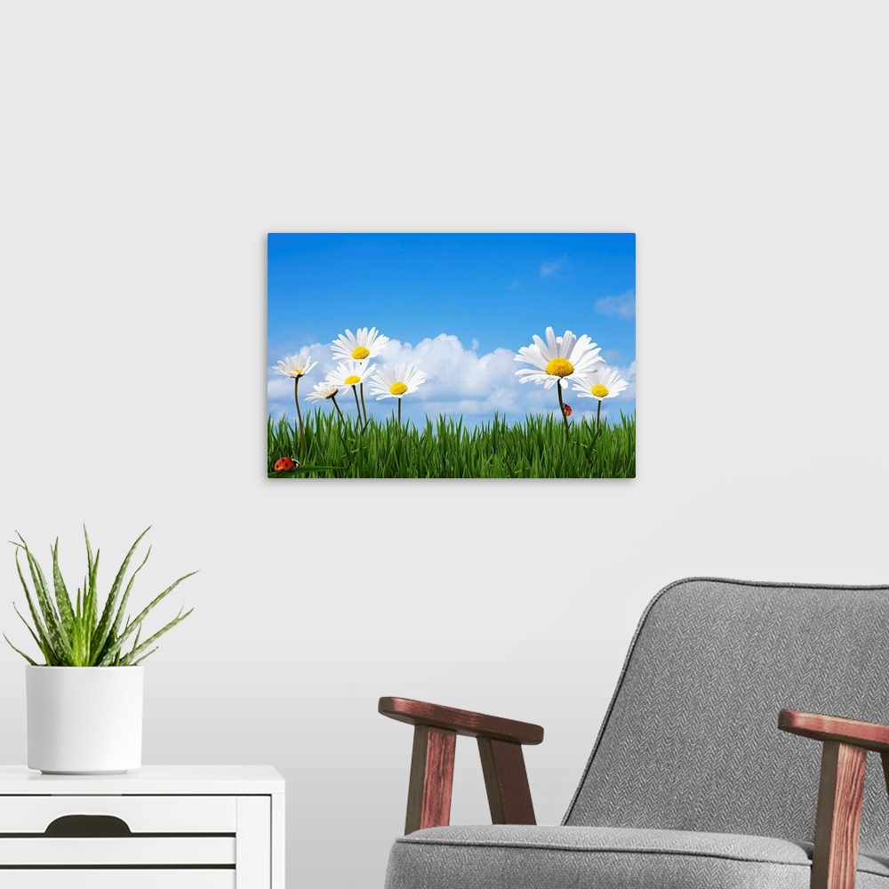 A modern room featuring Large daisies are drawn towering over blades of grass with lady bugs crawling on the grass and st...