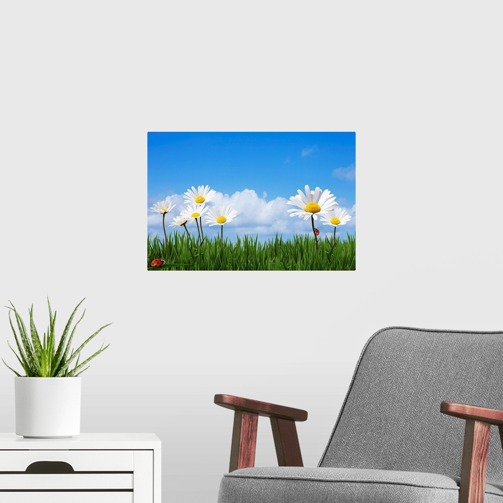 A modern room featuring Large daisies are drawn towering over blades of grass with lady bugs crawling on the grass and st...