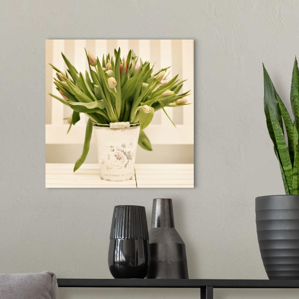 A modern room featuring Fresh tulips presented in vintage plant bucket at home.