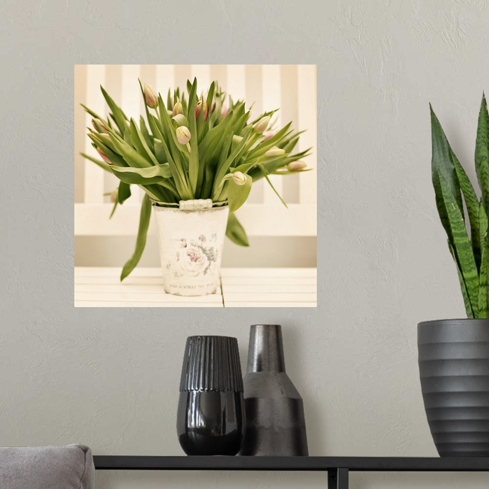 A modern room featuring Fresh tulips presented in vintage plant bucket at home.