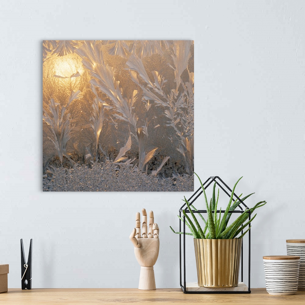 A bohemian room featuring Square canvas photo of frost with a warm light shining through.