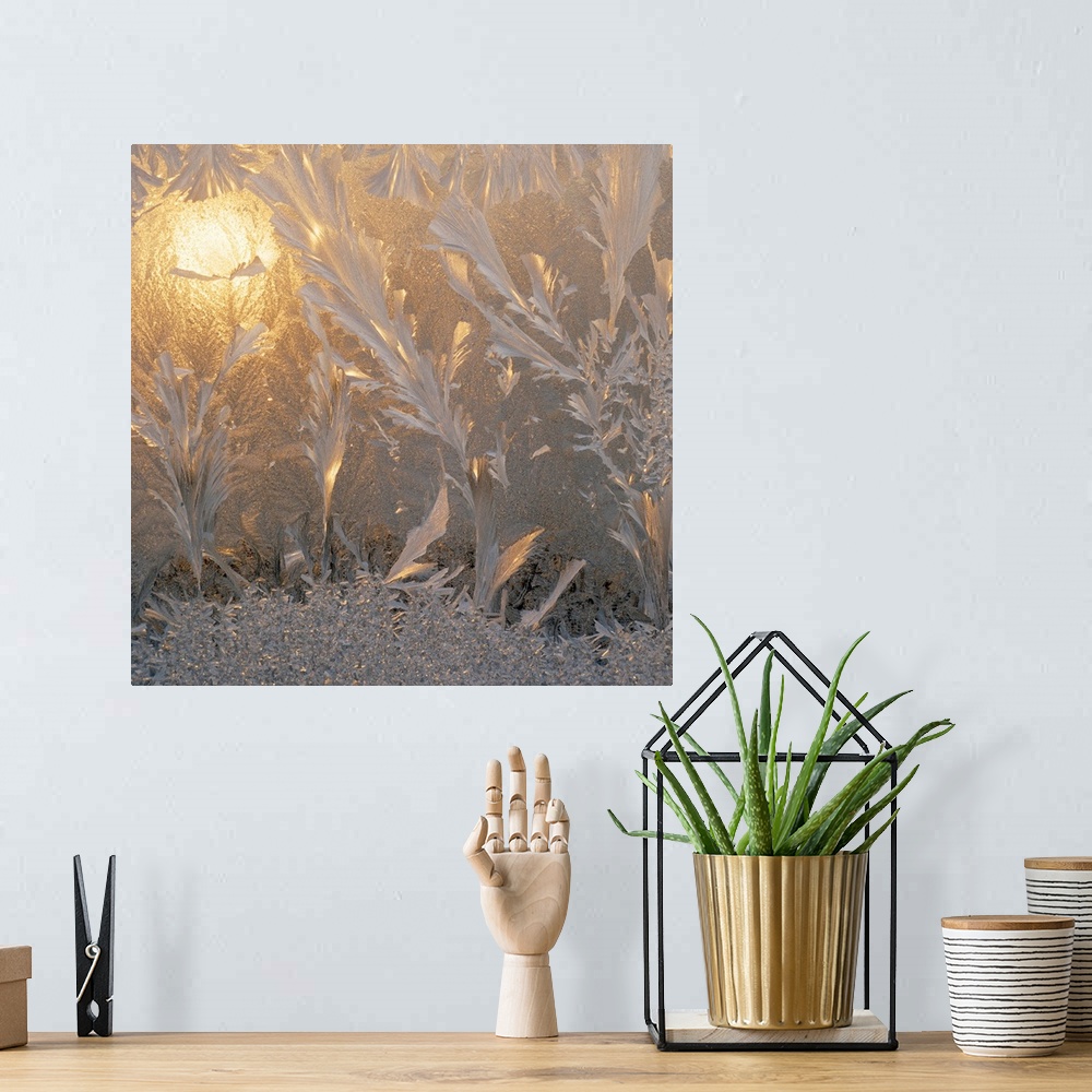 A bohemian room featuring Square canvas photo of frost with a warm light shining through.