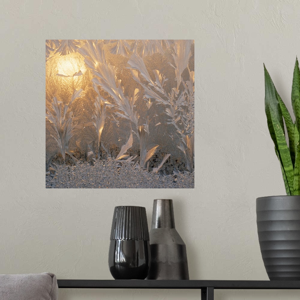 A modern room featuring Square canvas photo of frost with a warm light shining through.
