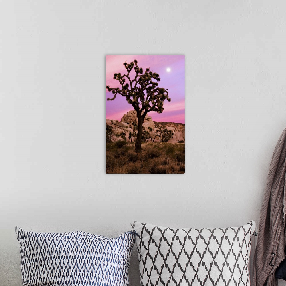 A bohemian room featuring A full moon and a Joshua tree against a pink sky just after sunset. The Real Hidden Valley, Joshu...