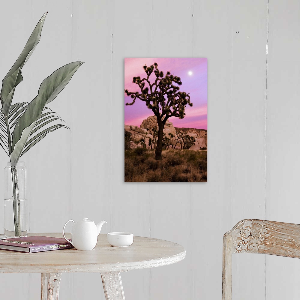 A farmhouse room featuring A full moon and a Joshua tree against a pink sky just after sunset. The Real Hidden Valley, Joshu...
