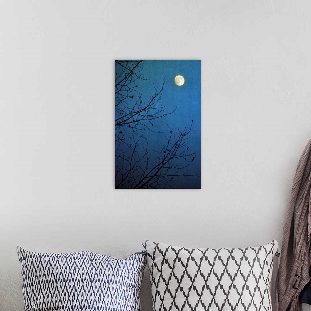 A bohemian room featuring Full moon in deep blue sky framed by bare branches in silhouette of leafless tree.