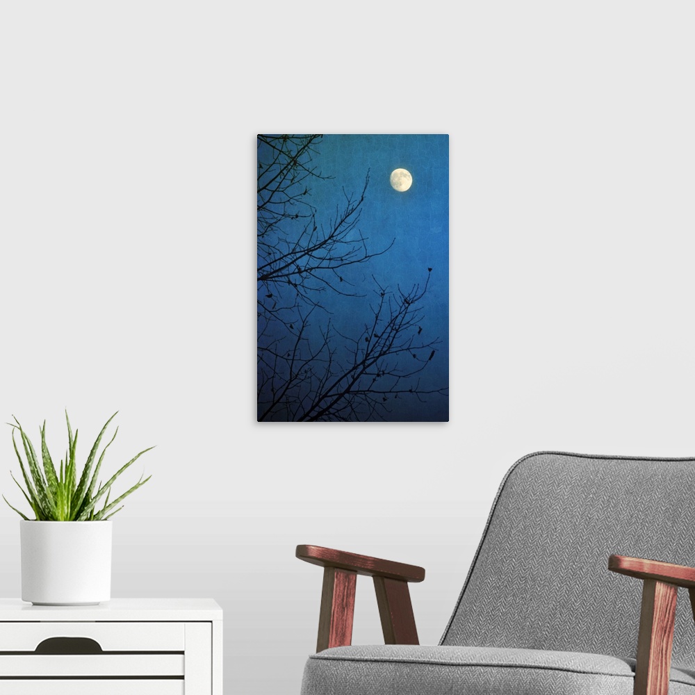 A modern room featuring Full moon in deep blue sky framed by bare branches in silhouette of leafless tree.