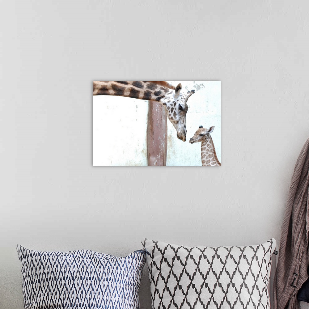 A bohemian room featuring Giraffe mother and baby