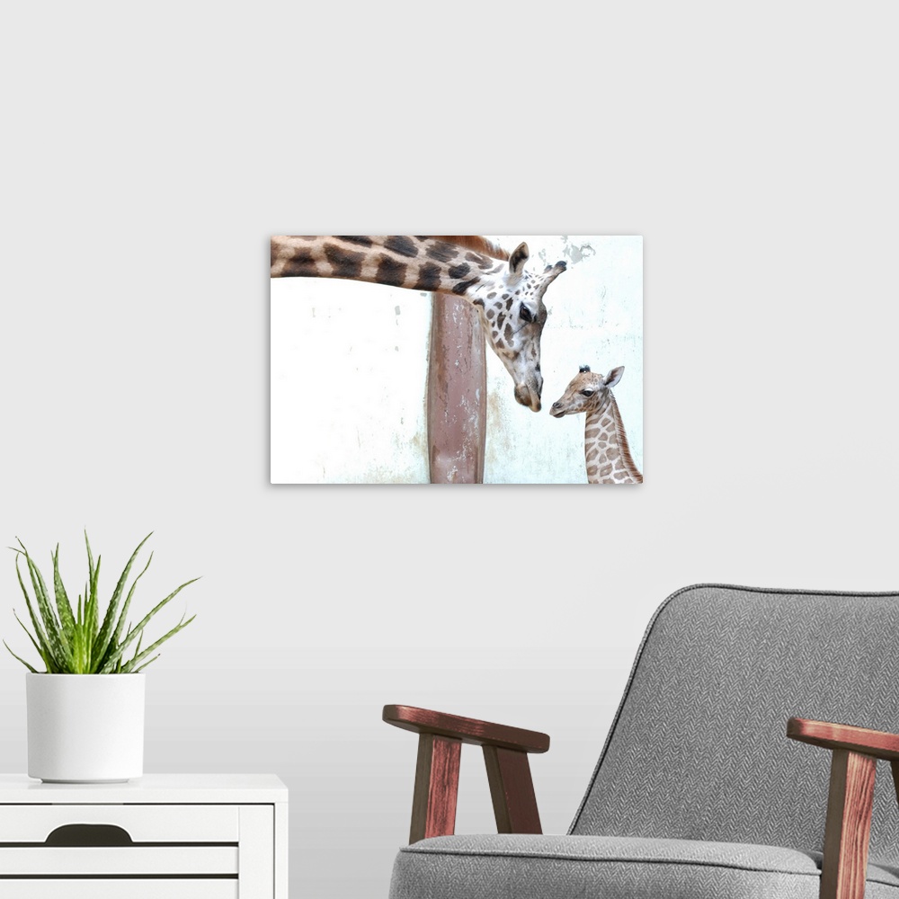 A modern room featuring Giraffe mother and baby