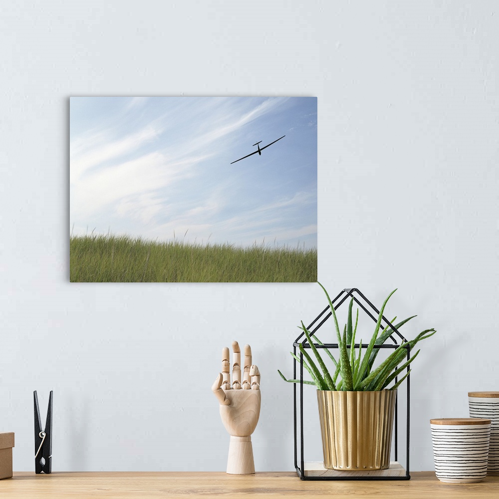 A bohemian room featuring Glider flying in sky with grass in foreground