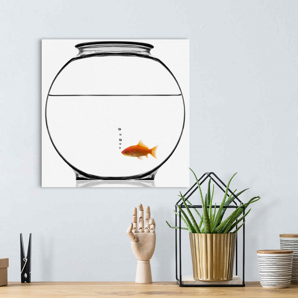 A bohemian room featuring Goldfish in bowl