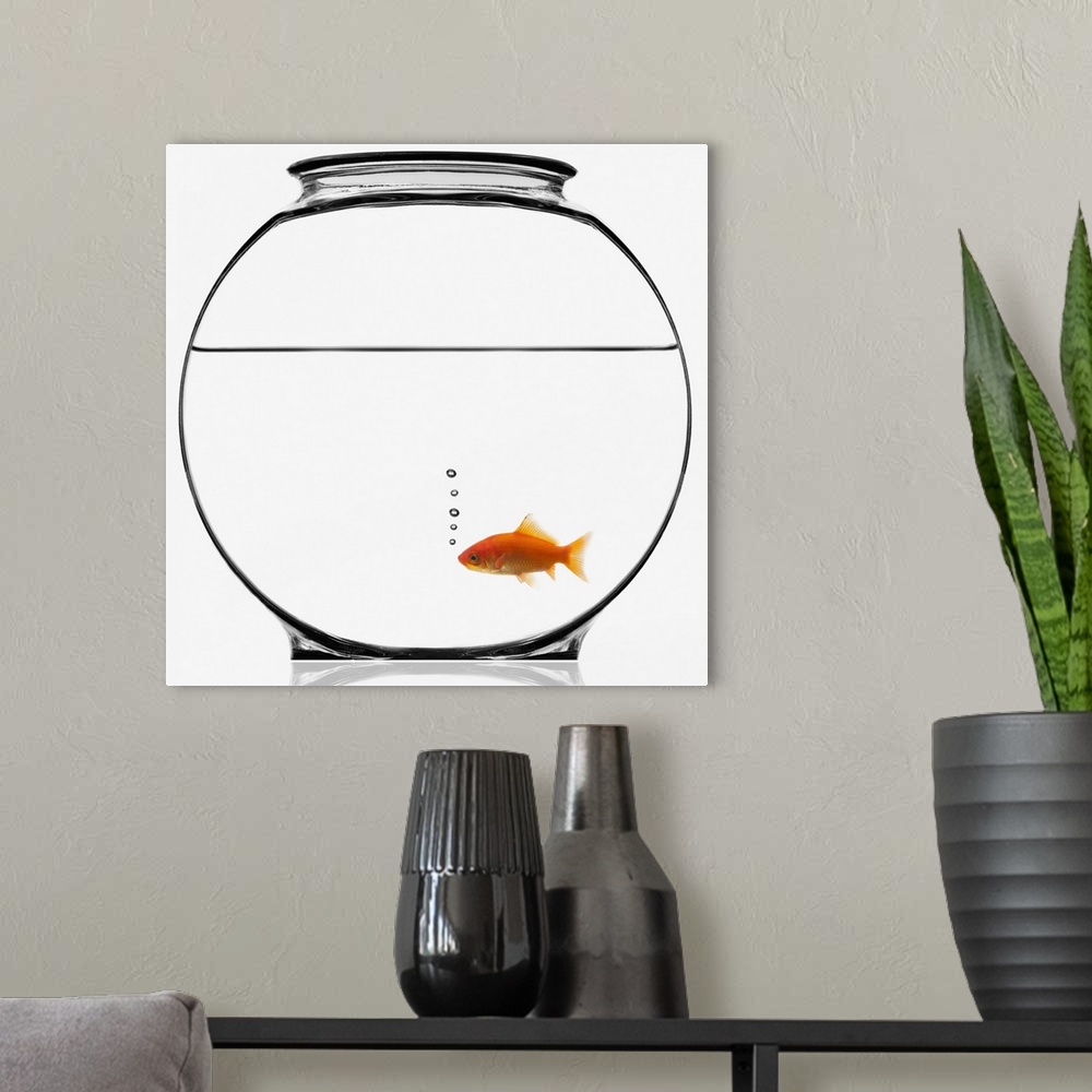 A modern room featuring Goldfish in bowl