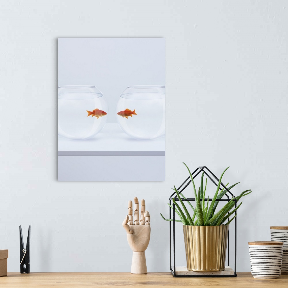 A bohemian room featuring Goldfish in separate fishbowls looking face to face