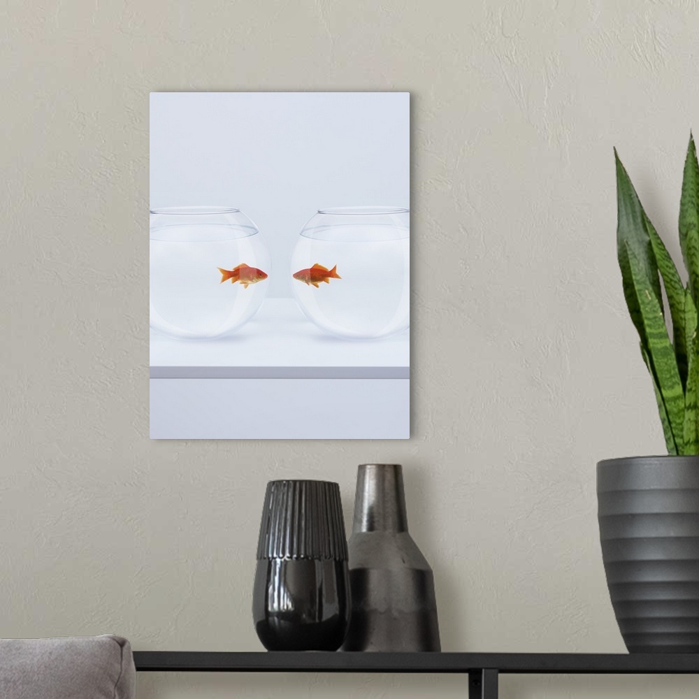 A modern room featuring Goldfish in separate fishbowls looking face to face