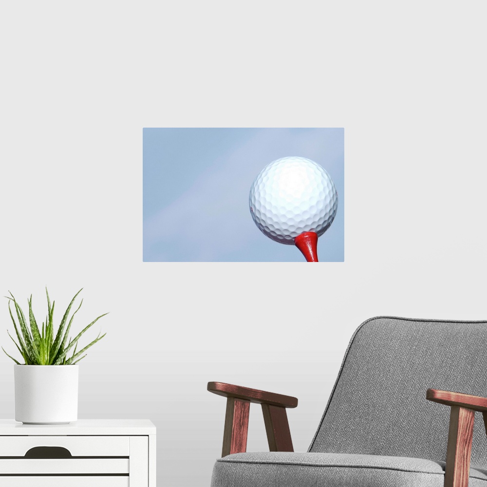A modern room featuring Golf ball and tee