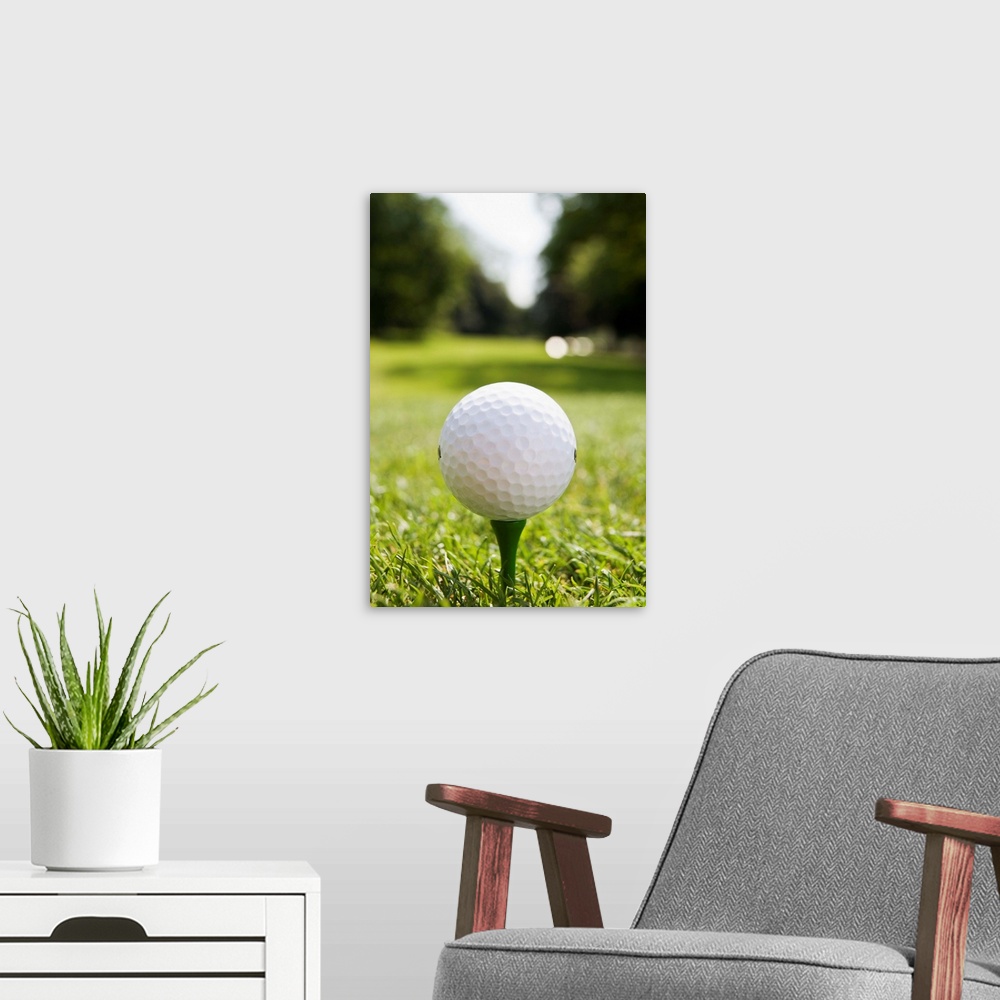 A modern room featuring Golf ball on tee