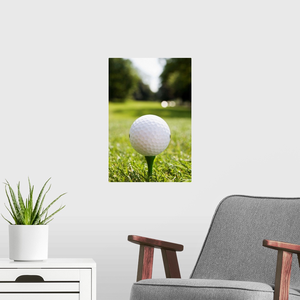 A modern room featuring Golf ball on tee