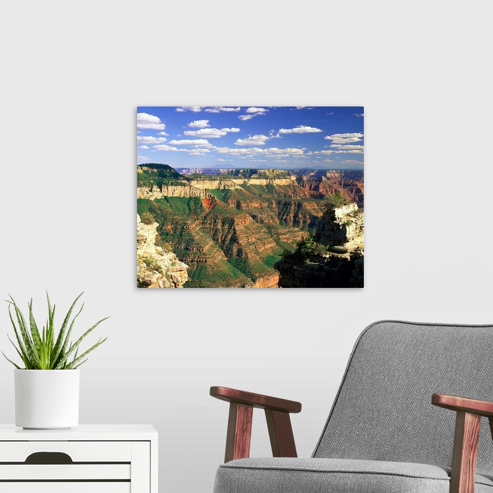 A modern room featuring Grand Canyon National Park, Arizona, United States