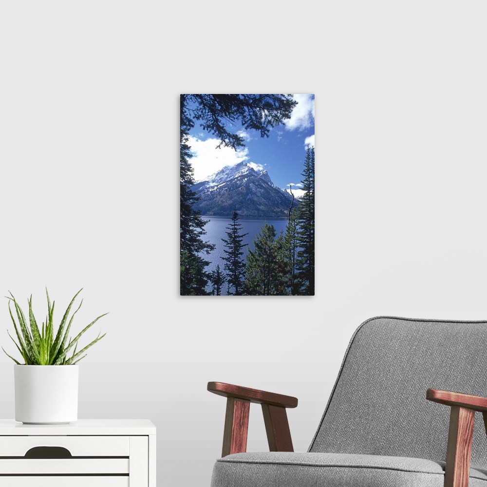 A modern room featuring Grand Teton National Park, Wyoming