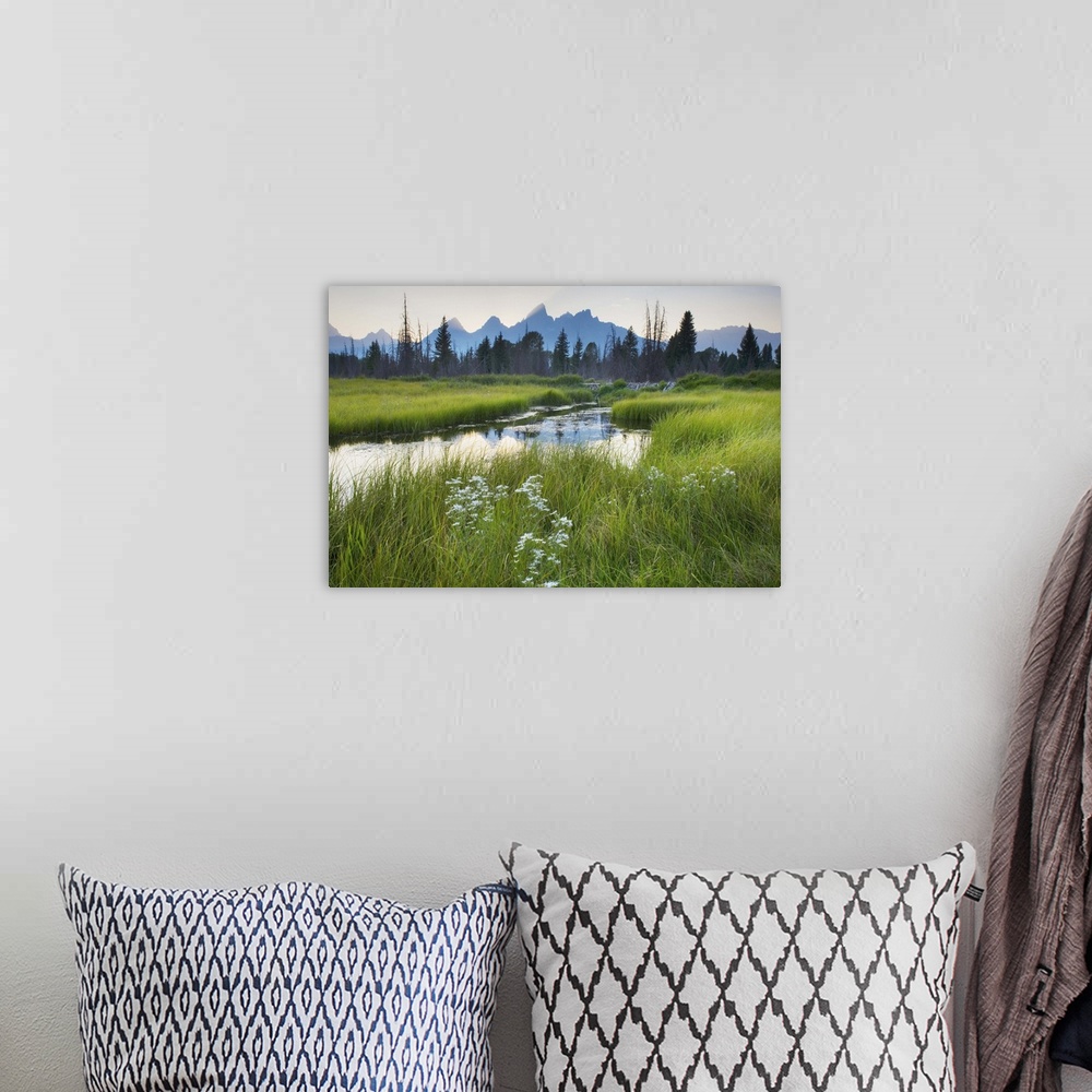 A bohemian room featuring Wildflowers and the Teton Range at sunset seen from Schwabacher's Landing, Grand Teton National P...